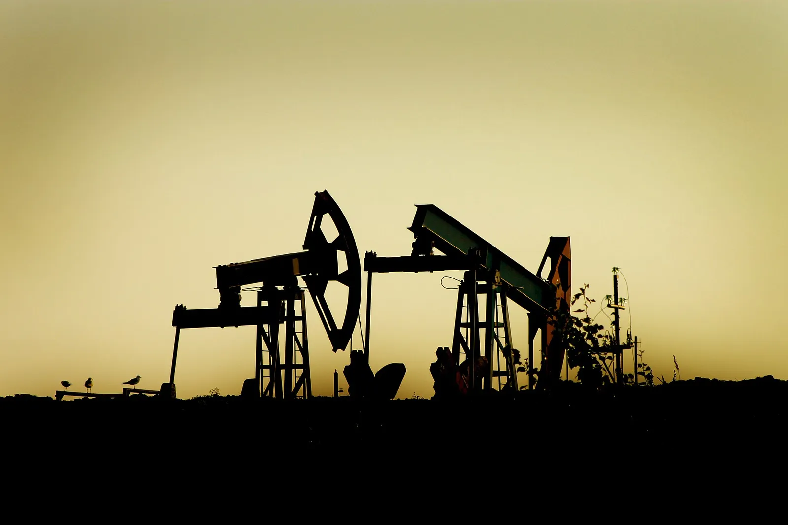 Нефтени помпи край Нижневартовск, Западен Сибир - символ на природното богатство на Русия